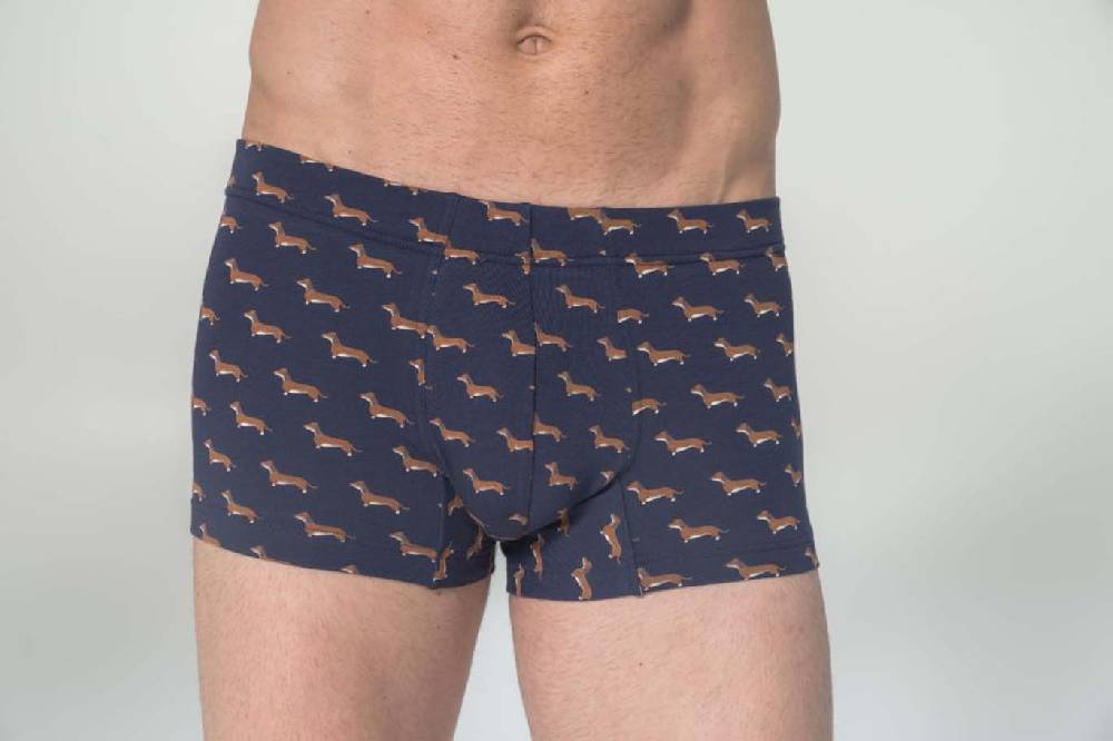 Julipet Boxer in cotone bielastico stampato Offerte