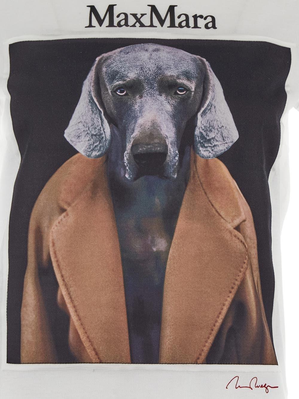 Oluxury Max Mara Cipria T-Shirt In Linea
