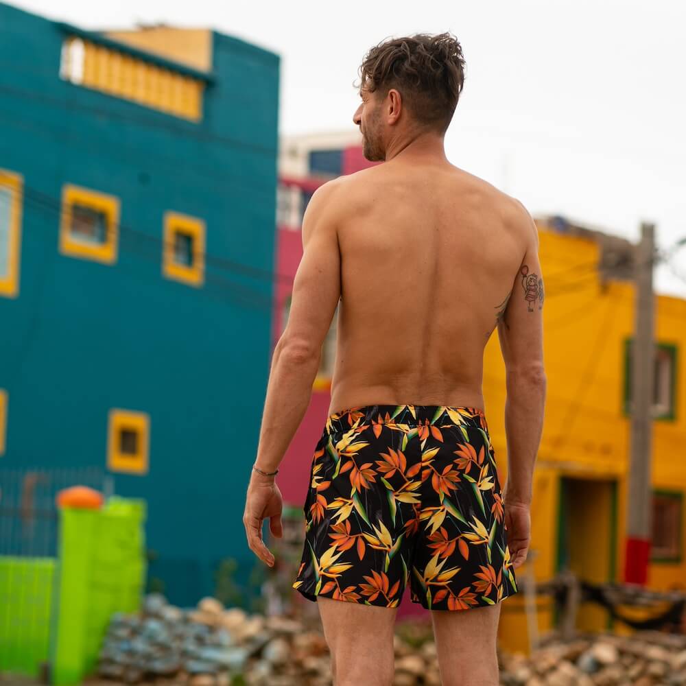 Seay / Costume da Bagno Corto Nero Bird of Paradise Negozio