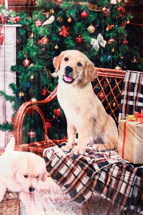 Susy Mix Plaid Stampa Cane Saldi Di Fabbrica