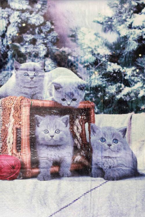 Susy Mix Plaid Stampa Gatto I Più Venduti