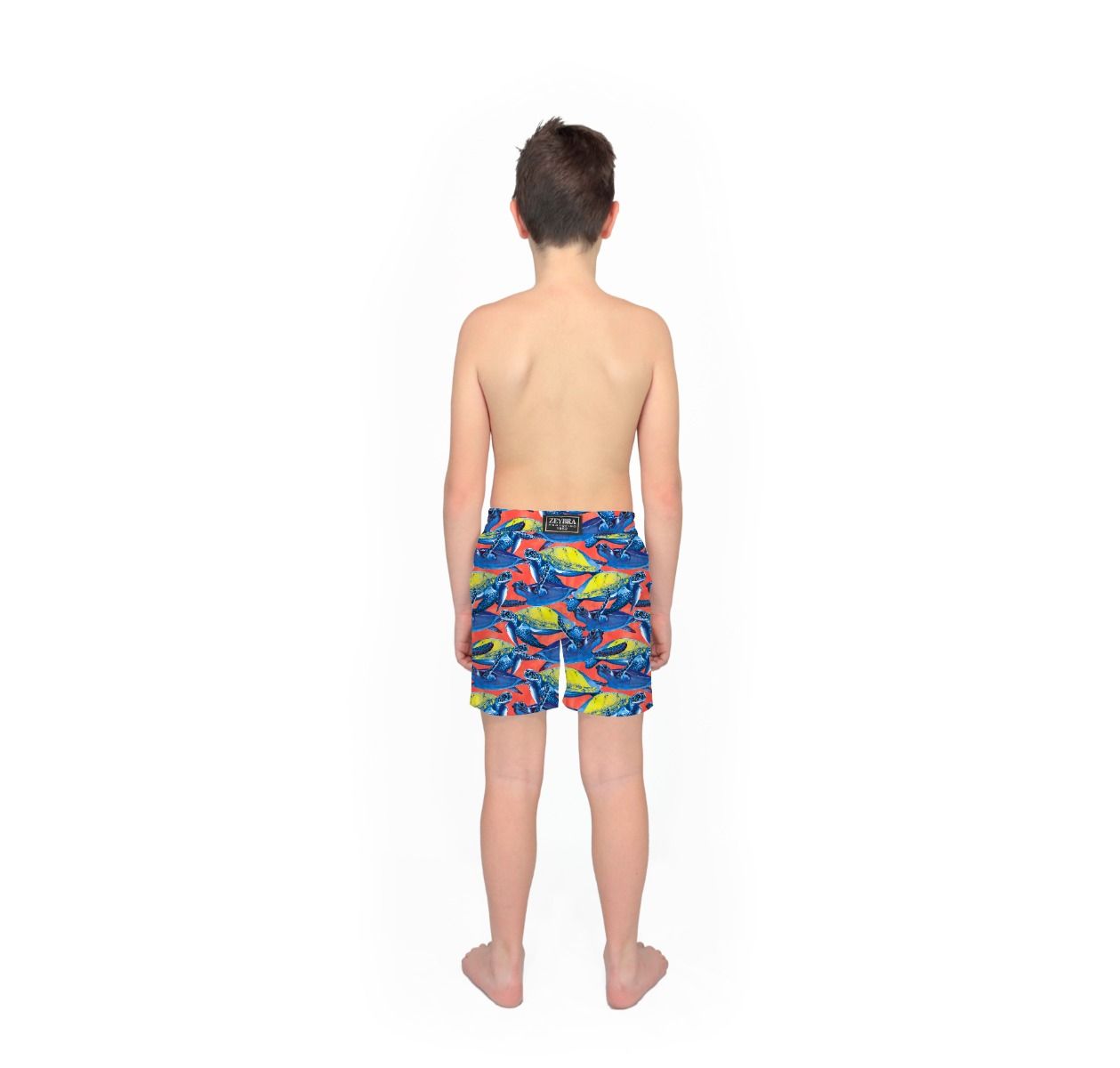 Zeybra COSTUME BAMBINO TARTARUGHE CORAL Online
