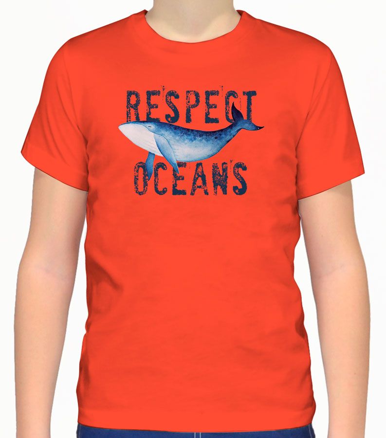 Zeybra T-SHIRT BAMBINO MANGO Moda